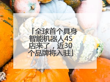 全球首个具身智能机器人4S店来了，近30个品牌将入驻