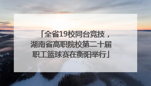 全省19校同台竞技，湖南省高职院校第二十届职工篮球赛在衡阳举行