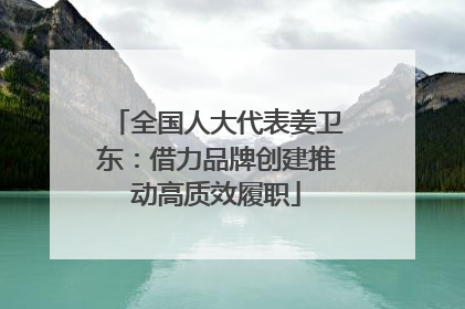 全国人大代表姜卫东：借力品牌创建推动高质效履职