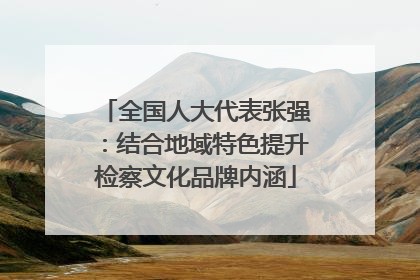 全国人大代表张强：结合地域特色提升检察文化品牌内涵