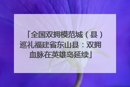 全国双拥模范城（县）巡礼福建省东山县：双拥血脉在英雄岛延续