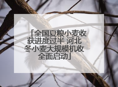 全国夏粮小麦收获进度过半 河北冬小麦大规模机收全面启动