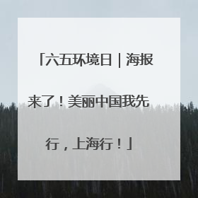 六五环境日|海报来了!美丽中国我先行,上海行!