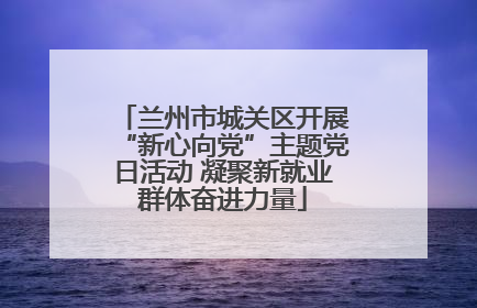 兰州市城关区开展“新心向党”主题党日活动 凝聚新就业群体奋进力量