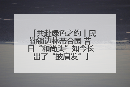共赴绿色之约丨民勤锁边林带合围 昔日“和尚头”如今长出了“披肩发”