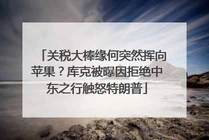 关税大棒缘何突然挥向苹果？库克被曝因拒绝中东之行触怒特朗普