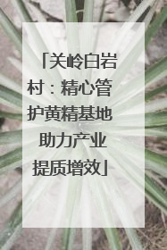 关岭白岩村：精心管护黄精基地 助力产业提质增效
