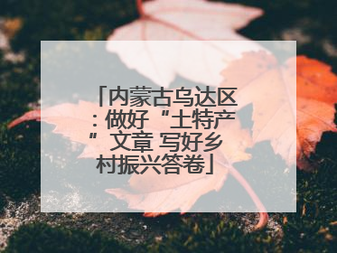 内蒙古乌达区：做好“土特产”文章 写好乡村振兴答卷