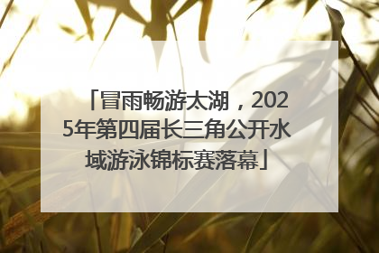 冒雨畅游太湖，2025年第四届长三角公开水域游泳锦标赛落幕