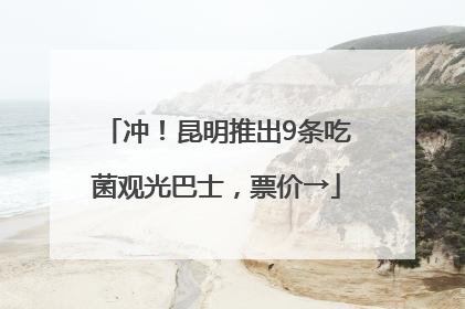 冲！昆明推出9条吃菌观光巴士，票价→