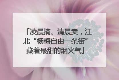 凌晨摘、清晨卖，江北“杨梅自由一条街”藏着最甜的烟火气
