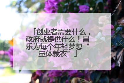 创业者需要什么，政府就提供什么！昌乐为每个年轻梦想“量体裁衣”