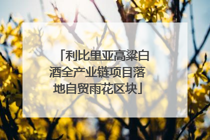 利比里亚高粱白酒全产业链项目落地自贸雨花区块