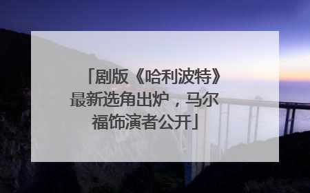 剧版《哈利波特》最新选角出炉，马尔福饰演者公开