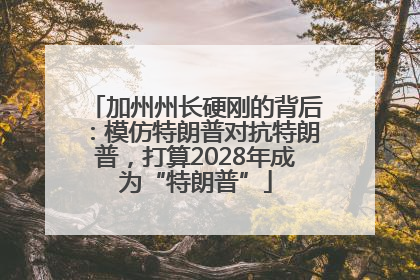加州州长硬刚的背后：模仿特朗普对抗特朗普，打算2028年成为“特朗普”