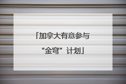 加拿大有意参与“金穹”计划
