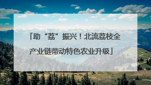 助“荔”振兴！北流荔枝全产业链带动特色农业升级