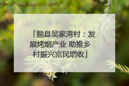 勉县吴家湾村：发展烤烟产业 助推乡村振兴富民增收