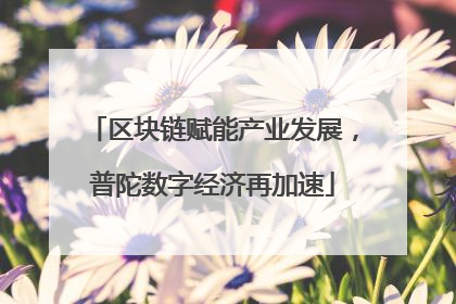 区块链赋能产业发展，普陀数字经济再加速