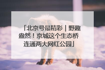 北京号最精彩｜野趣盎然！京城这个生态桥连通两大网红公园