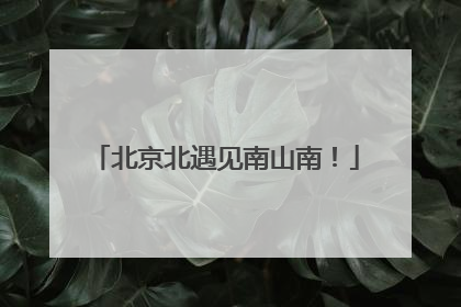 北京北遇见南山南！