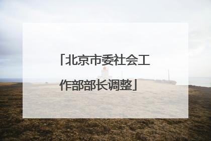 北京市委社会工作部部长调整