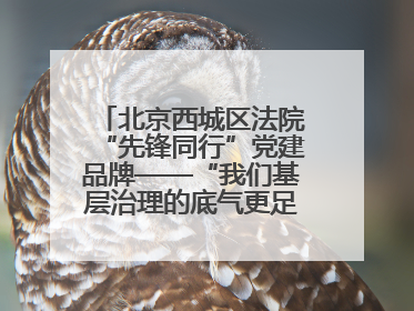 北京西城区法院“先锋同行”党建品牌——“我们基层治理的底气更足了！”