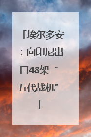 埃尔多安：向印尼出口48架“五代战机”