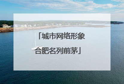 城市网络形象合肥名列前茅