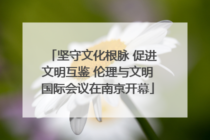 坚守文化根脉 促进文明互鉴 伦理与文明国际会议在南京开幕
