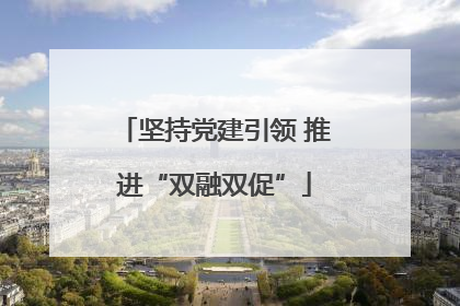 坚持党建引领 推进“双融双促”