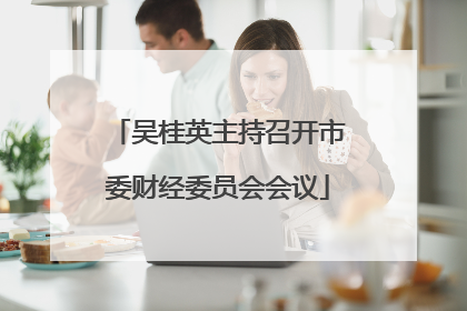 吴桂英主持召开市委财经委员会会议