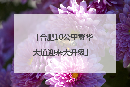 合肥10公里繁华大道迎来大升级