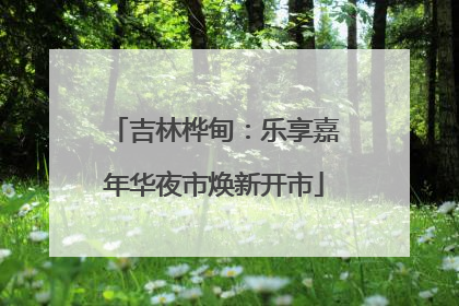 吉林桦甸：乐享嘉年华夜市焕新开市