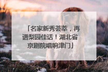 名家新秀荟萃，再谱梨园佳话！湖北省京剧院唱响津门