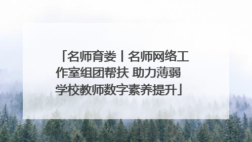 名师育娄丨名师网络工作室组团帮扶 助力薄弱学校教师数字素养提升