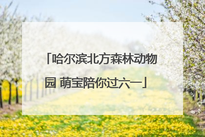 哈尔滨北方森林动物园 萌宝陪你过六一