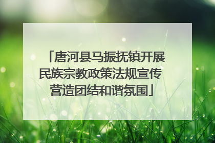 唐河县马振抚镇开展民族宗教政策法规宣传 营造团结和谐氛围