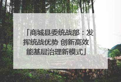 商城县委统战部：发挥统战优势 创新高效能基层治理新模式