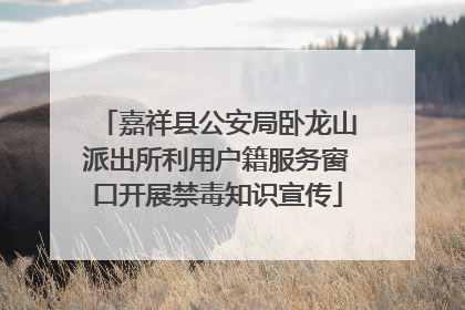 嘉祥县公安局卧龙山派出所利用户籍服务窗口开展禁毒知识宣传