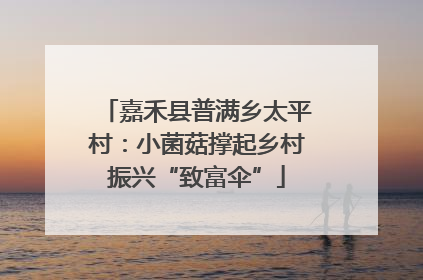 嘉禾县普满乡太平村：小菌菇撑起乡村振兴“致富伞”