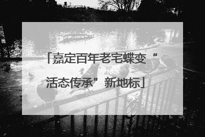 嘉定百年老宅蝶变“活态传承”新地标