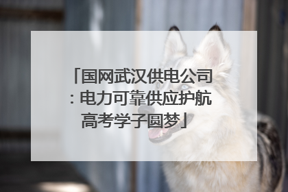 国网武汉供电公司：电力可靠供应护航高考学子圆梦
