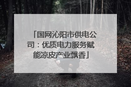 国网沁阳市供电公司:优质电力服务赋能凉皮产业飘香