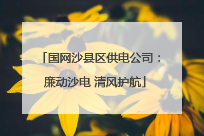 国网沙县区供电公司：廉动沙电 清风护航