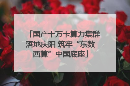 国产十万卡算力集群落地庆阳 筑牢“东数西算”中国底座