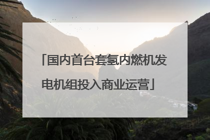 国内首台套氢内燃机发电机组投入商业运营