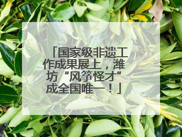 国家级非遗工作成果展上，潍坊“风筝怪才”成全国唯一！