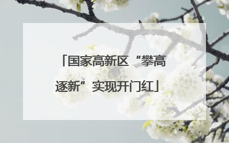 国家高新区“攀高逐新”实现开门红