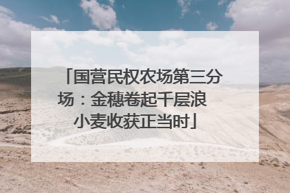 国营民权农场第三分场：金穗卷起千层浪 小麦收获正当时